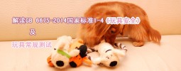 常规玩具安全测试
